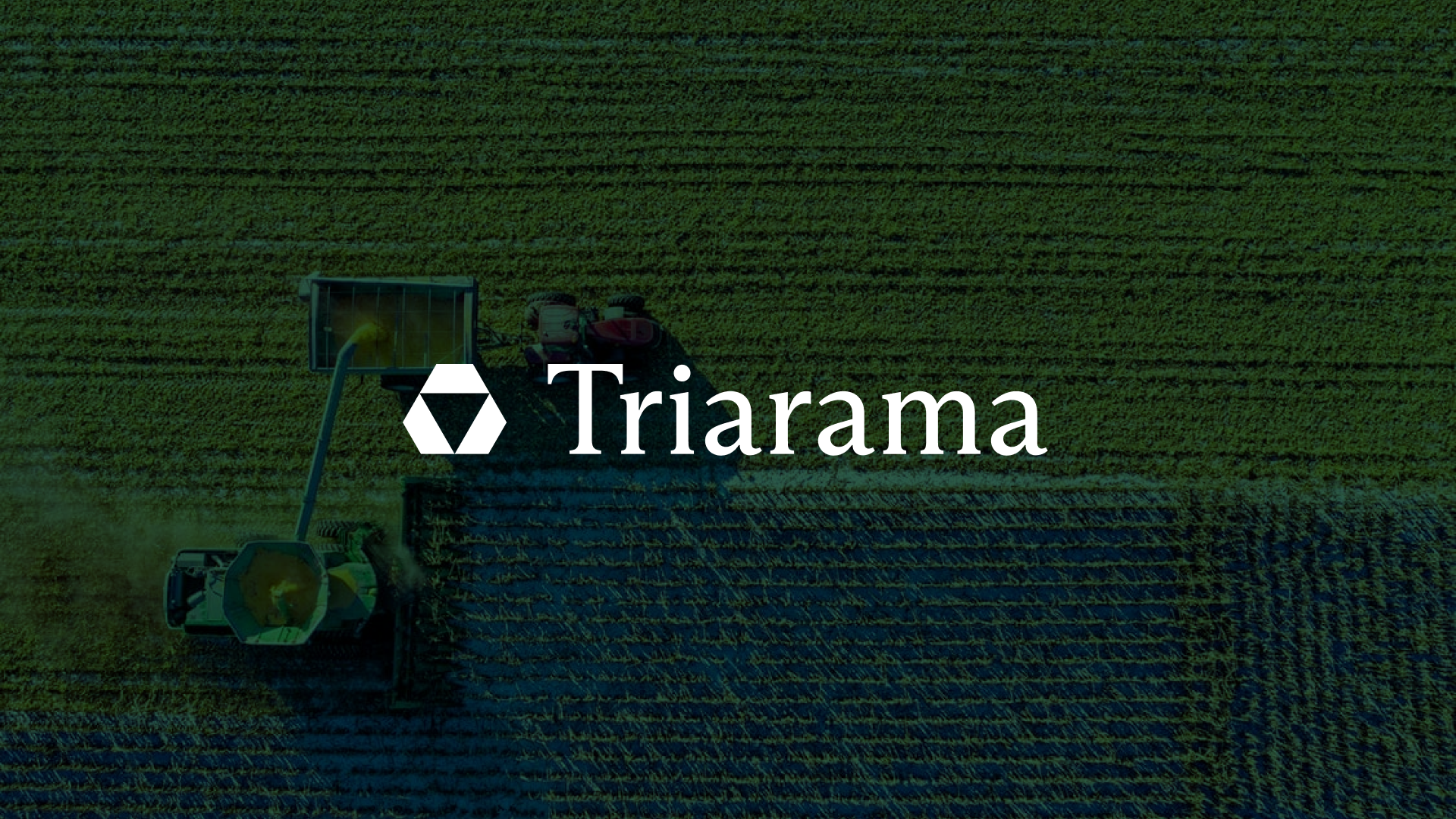 Logo design for Triarama